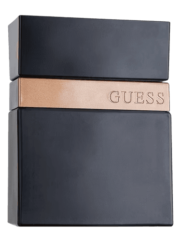 Guess Seductive Noir Homme Guess